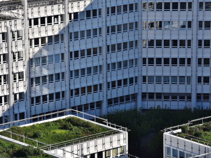Bepflanzung mit großer Wirkung: Die CDU wünscht sich grünere Dächer in Braunschweigs Häuserschluchten. Symbolfoto: Pixabay