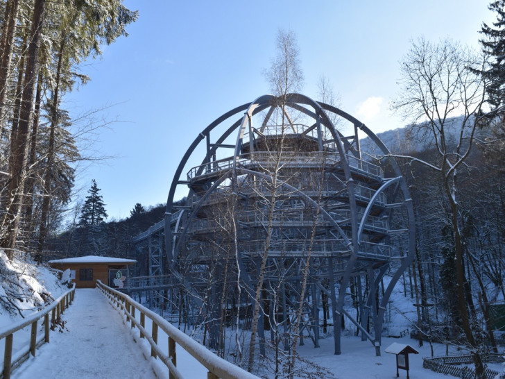 Der Baumwipfelpfad wird auch im Winter passiert werden können. Bildmaterial: Harz Venture GmbH