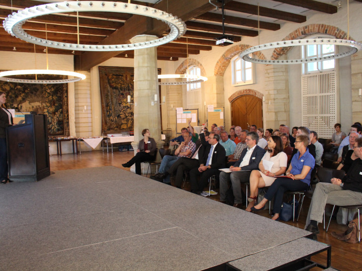 Im Rittersaal des Schlosses Gifhorn diskutierten die Mitglieder der ILE-Region Südkreis Gifhorn über mögliche neue Projekte. Foto: Julian Bergmeier 