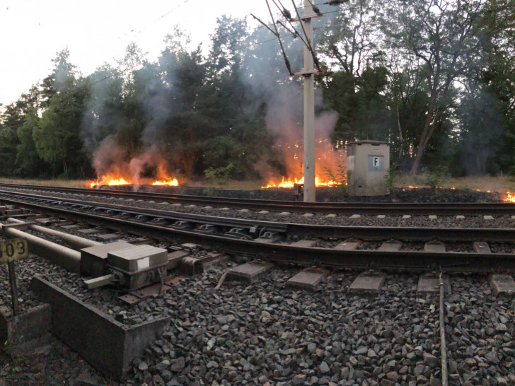 An der Bahnstrecke brannte es lichterloh. Foto: Privat