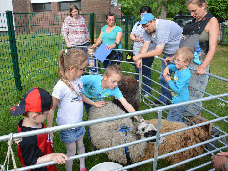 Echte Schafe aus dem Ökogarten waren zu Besuch im Garten des Familienzentrums. Foto: Privat