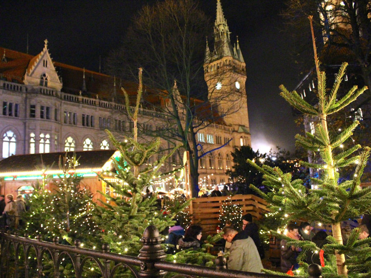 In gut zwei Wochen geht es wieder los: Der Weihnachtsmarkt öffnet. Foto: Archiv/Sina Rühland