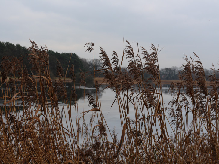 Die NABU informiert über Natur am Ellernbruchsee. Symbolfoto: Archiv