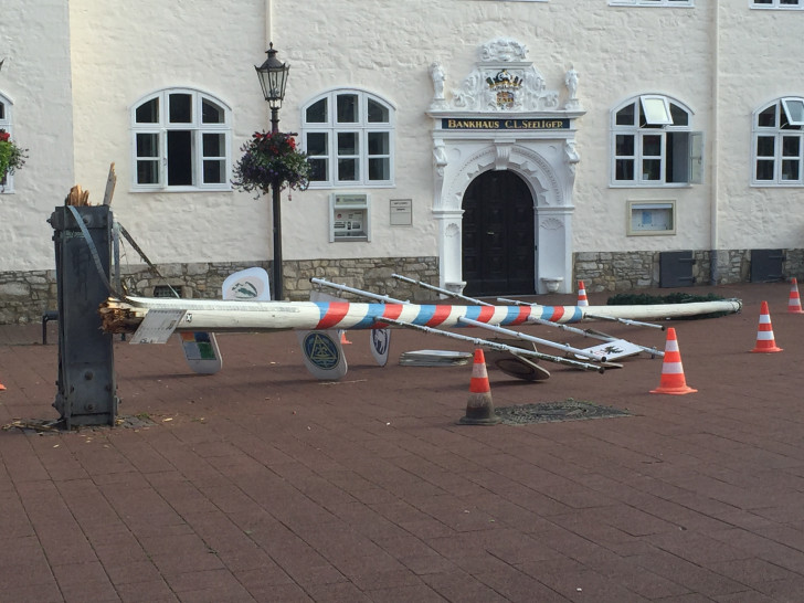 Der umgestürzte Zunftbaum vor dem Bankhaus Seeliger. Foto: Stadt Wolfenbüttel. 