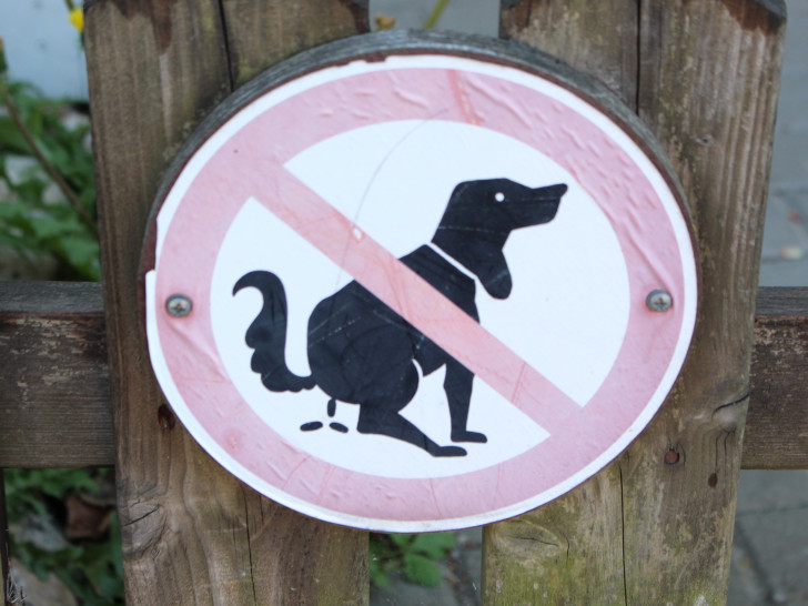 Das Problem mit dem Hundekot soll in Goslar durch einen zusätzlichen Ordnungsdienst bekämpft werden. Symbolfoto: Archiv