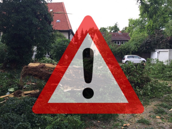 Auch im Landkreis Helmstedt ist die Feuerwehr wegen umgeknickter Bäume im Einsatz. Symbolbild: Nick Wenkel