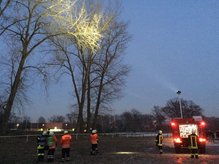 Die Feuerwehr im Einsatz - Zur Tierrettung wird der Baum ausgeleuchtet. Foto: Freiwillige Feuerwehr Müden/ Dieckhorst, Timm Bussmann