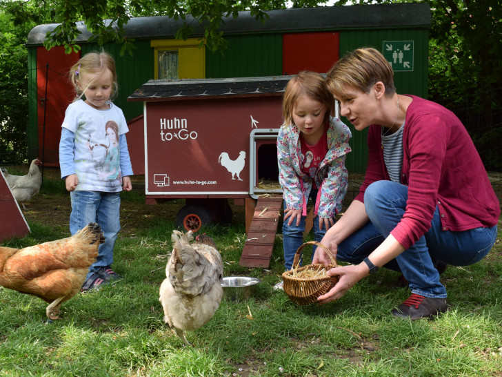 Jana Machnik und ihre Schützlinge Freda und Mira zeigen den Hühnern Blume und Berta die Eier im Körbchen. Foto: Stadt Goslar