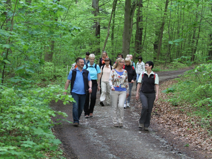 Am 3., 6. und 8. April kann im Harz wieder mit Führung gewandert werden. Foto:  Kur- Tourismus- 
und Wirtschaftsbetriebe
der Stadt Bad Harzburg GmbH