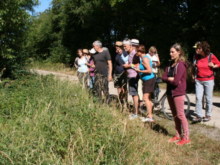 Foto: Bündnis 90/Die Grünen OV Cremlingen