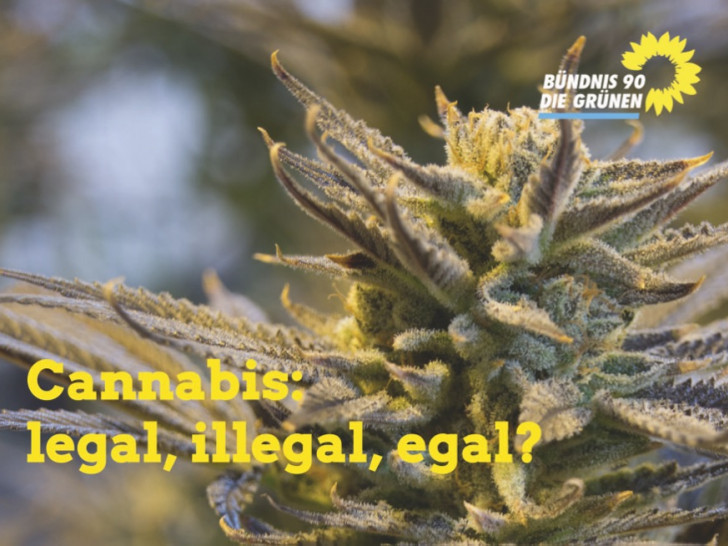 Die Fraktion Bündnis 90/DIE GRÜNEN Wolfenbüttel lädt zu einer Diskussionsveranstaltung zum Thema: "Cannabis: legal, illegal, egal?". Foto: Grüne