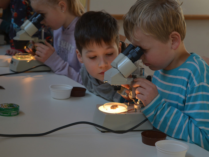 Für die Kleinen war die Untersuchung sichtlich interessant. Foto: Cornelia Schilling