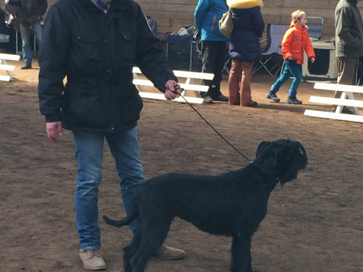 Mitglied mit Hund vom Pinscher-Schnauzer-Klub. Foto: Privat