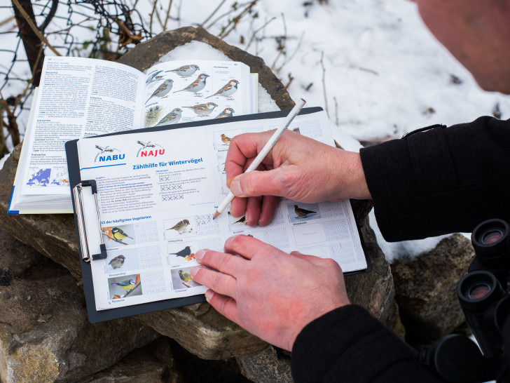 So einfach geht's: Einfach die Wintervögel zählen und abhaken. Foto: NABU