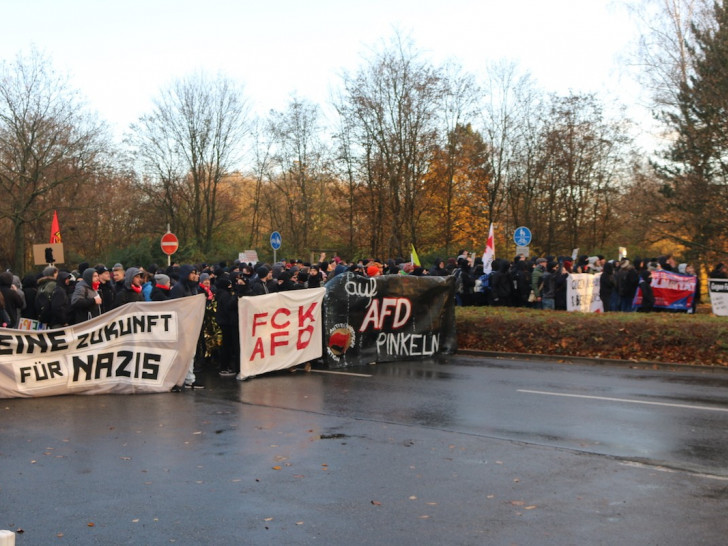 Der Protest gegen den AfD-Bundesparteitag am 30. November vergangenen Jahres blieb weitgehend friedlich. (Archivbild)