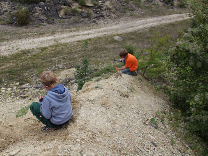 Am Samstag gibt es eine Fossiliensuche in Hondelage. Foto: Geopark/S. Dargatz