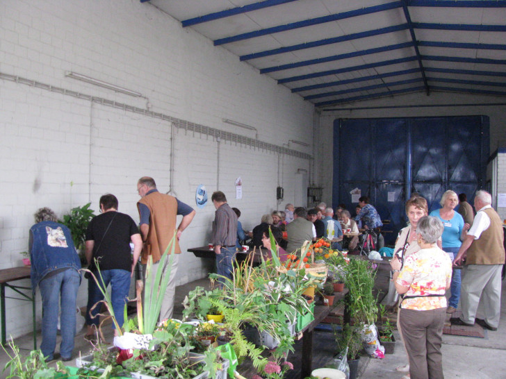 Zahlreiche Zimmerpflanzen wechseln bei der achten Pflanzenbörse ihren Besitzer. Foto: DRK