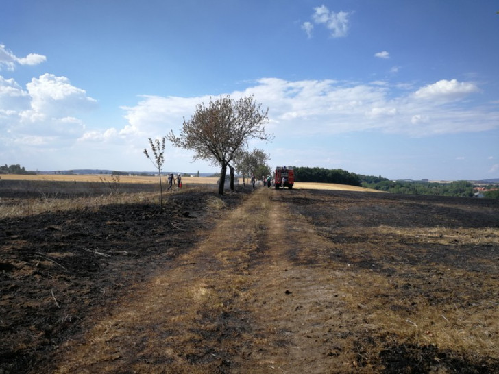 Bei den Mäharbeiten war ein rund ein Hektar großer Getreideschlag in Brand geraten. Foto: Jill Geske-Gloger