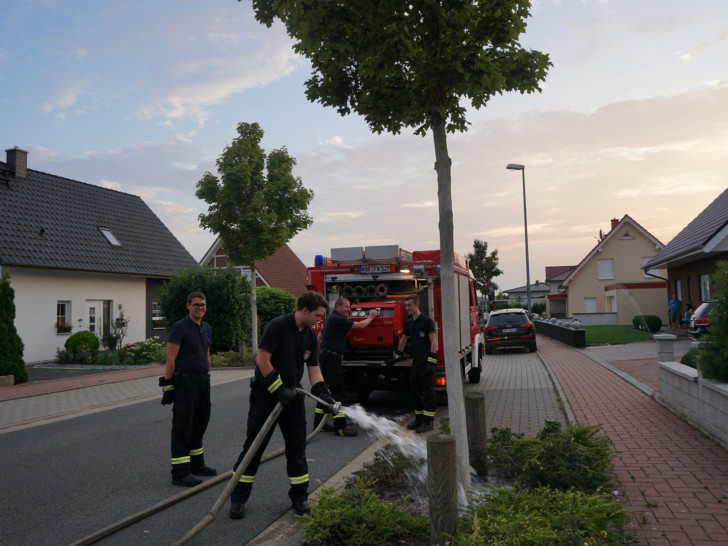 Die Freiwillige Feuerwehr Mörse bewässert einen Baum im Kerksiek. Foto: Freiwillige Feuerwehr Mörse