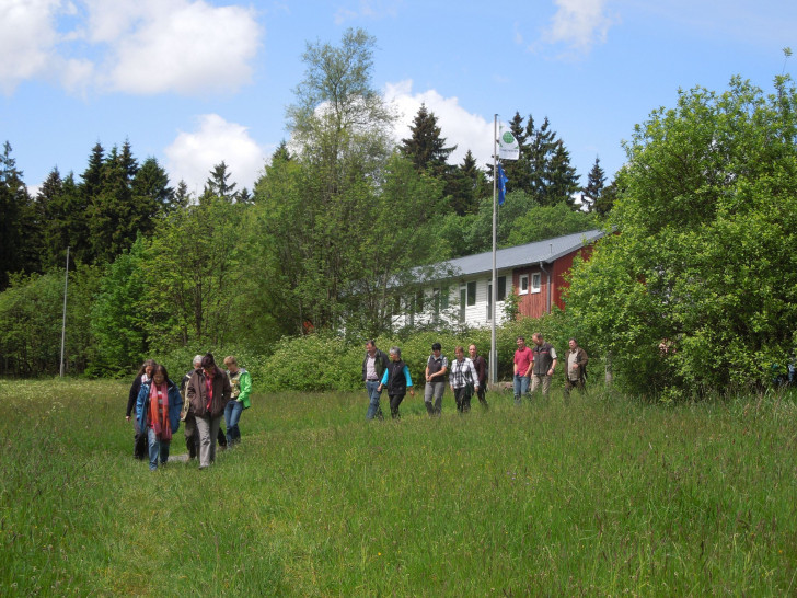 Bingo-Stiftung fördert Qualifizierung von WanderführerInnen im Harz: Nach dem Erfolg des ersten Bergwiesenseminars im Sommer 2014, geht das Bergwiesenseminar nun in die zweite Runde. Foto: Carolin Blaumann