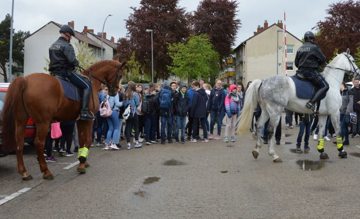 Die Pferdevorführung war einer der Höhepunkte des Tages. Foto: Polizei Salzgitter