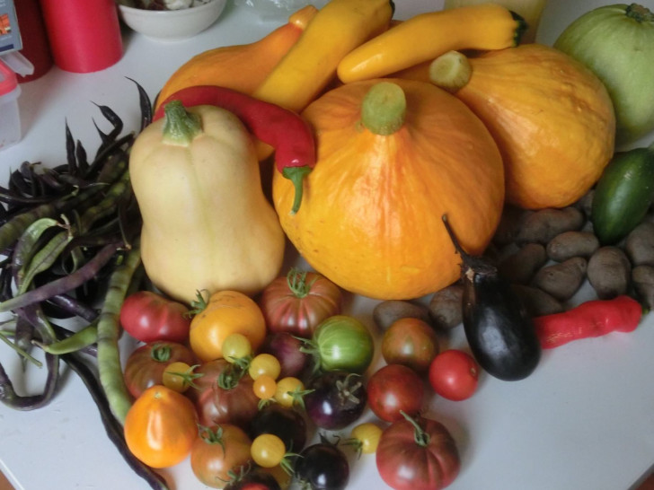Selbstangebautes Gemüse (größtenteils alte Gemüsesorten). Foto: JUP