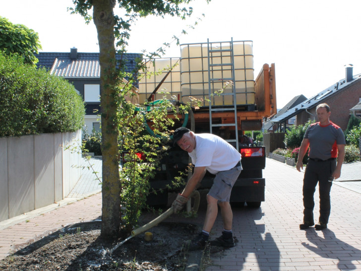 Dietmar Hobohm (links) wässert einen Baum in der Galgenbreite, der Baumpfleger Christian Böhme assistiert ihm. Foto: Stadt Helmstedt/M. Hartmann