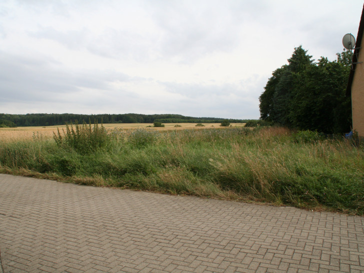 Nach Ansicht des Destedter Ortsrates soll es hier keine weitere Bebauung geben.
Foto: Diethelm Krause-Hotopp