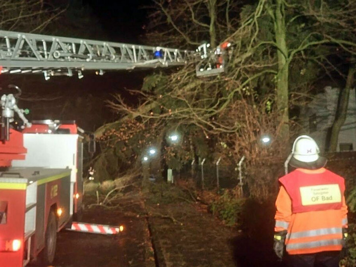 Durch die starken Orkanböen wurden etliche Bäume umgeworfen, die Feuerwehr war über Stunden im Einsatz. Foto: Freiwillige Feuerwehr Salzgitter-Bad