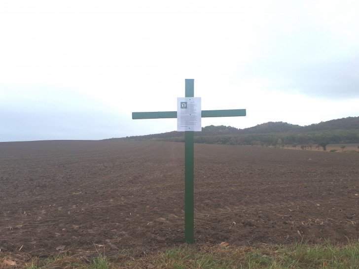 Eines der grünen Kreuze, hier in Othfresen. Foto: Annabell Pommerehne