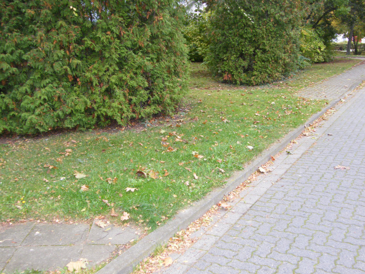 Schlechte Fußwege sind eines der Themen n der Sprechstunde. Symbolfoto: Anke Donner