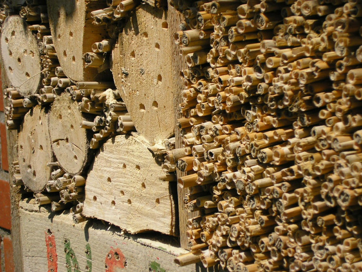 Nisthöhlen eines Insektenhotels. Foto: BUND
