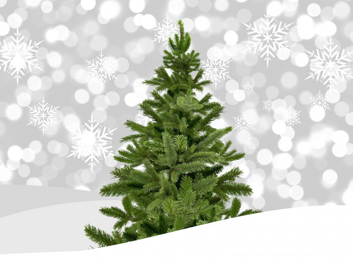 Braunschweiger haben am Samsta die Gelegenheit, einen Löwenherz-Weihnachtsbaum für einen guten Zweck zu erwerben. Symbolfoto: Pixabay
