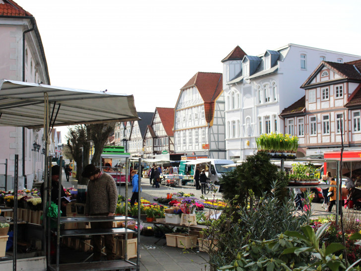 Der Markt in der Altstadt von Gifhorn. Symbolbild: Sandra Zecchino