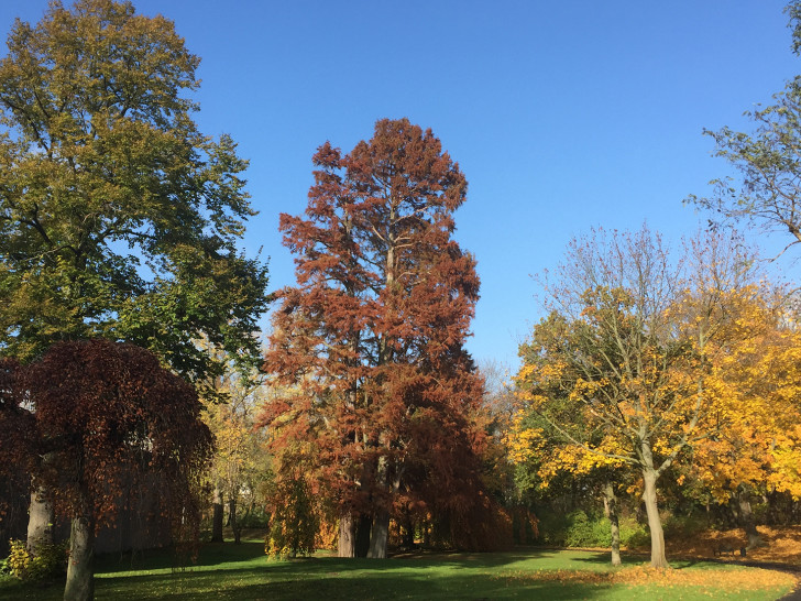 So schön kann der Herbst sein. Fotos: Thorsten Raedlein/Stadt Wolfenbüttel
