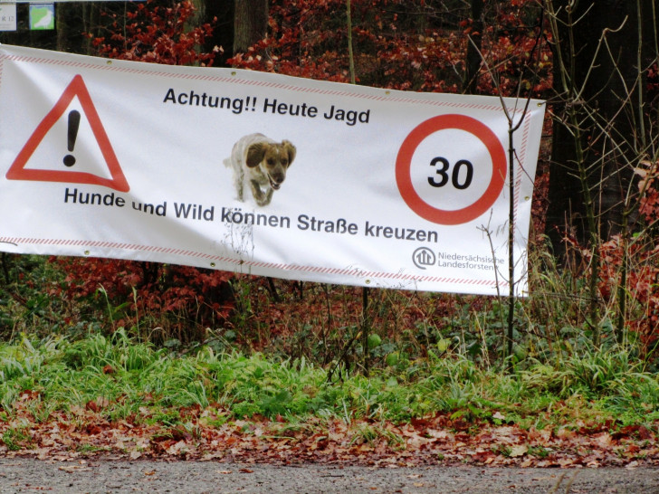 Autofahrer bitte mit besonderer Aufmerksamkeit fahren und auf Wild und Jagdhunde achten! Foto: Niedersächsische Landesforsten