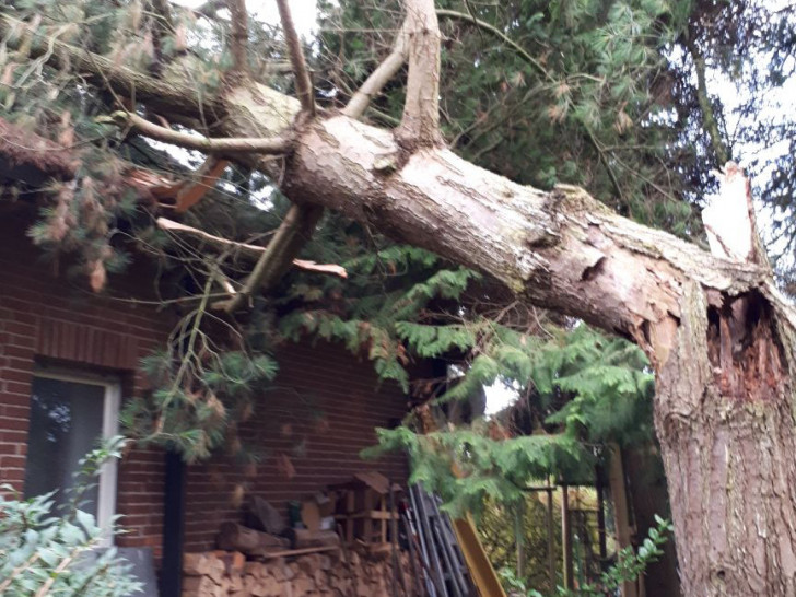 In Meinersen stürzte ein Baum auf ein Haus. Foto: Feuerwehr Meinersen
