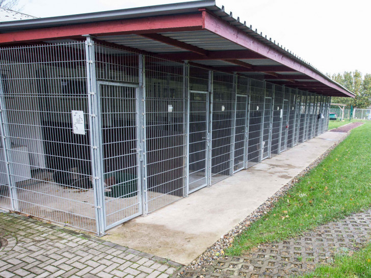 Renovierungsbedarf im Tierheim. Fotos: Tierschutzverein Salzgitter und Umgebung e.V.