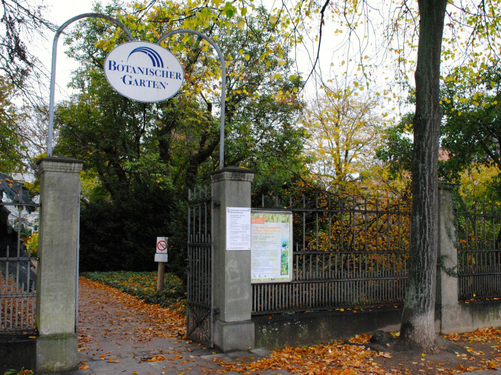 Botanischer Garten. Foto: Sina Rühland