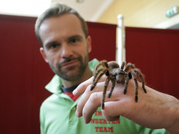 In der Stadthalle wird eine Spinnen-und Insektenausstellung gezeigt. Fotos: Renaldo Neigert 