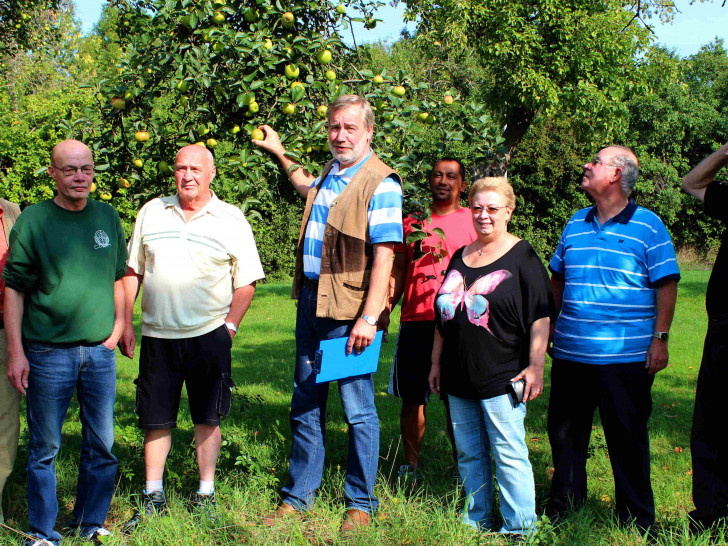 Obst wird versteigert. Foto: Bernd-Uwe Meyer