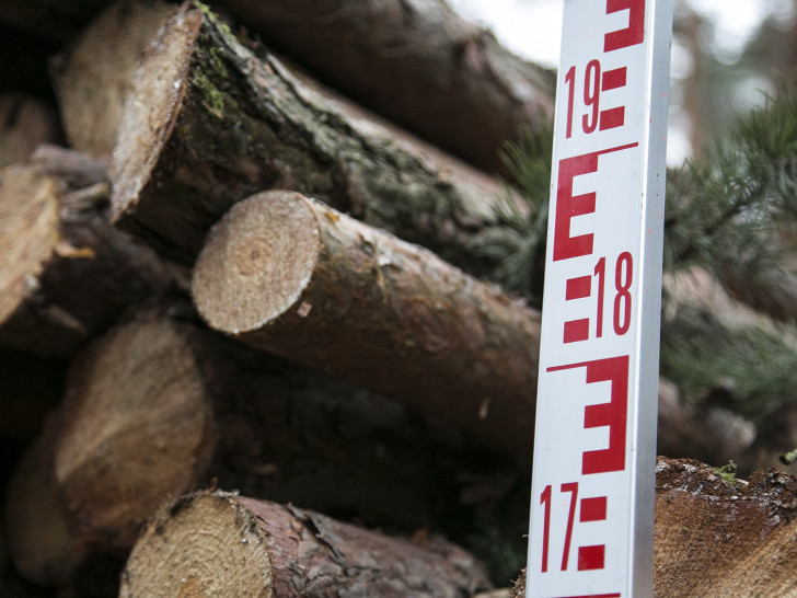 Die Holzernte wird in den nächsten Jahren von der großen Dürre negativ beeinflusst werden. Foto: IG BAU
