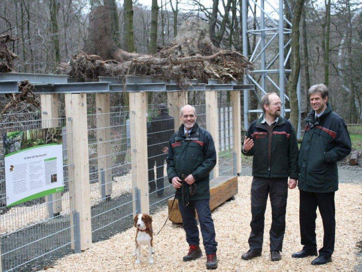 Karsten Peiffer, Jörg Sonnabend und Klaus Jänich bei der Eröffnung des Baumwurzelpfads. Foto: Niedersächsische Landesforsten