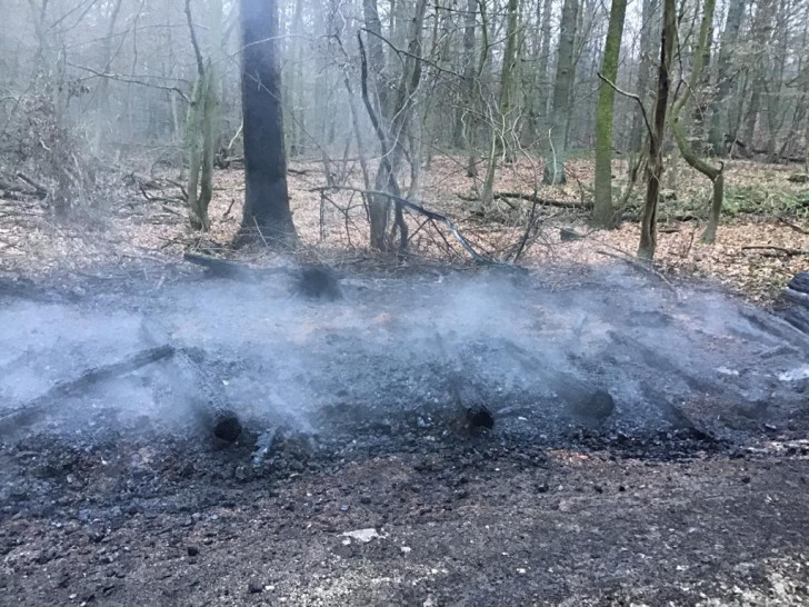 Baumstämme waren in Brand geraten. Foto: Feuerwehr