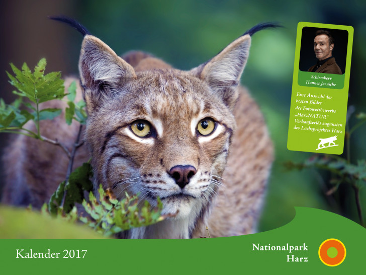 Der Nationalpark-Kalender 2017 kann erworben werden. Foto: Ole Anders