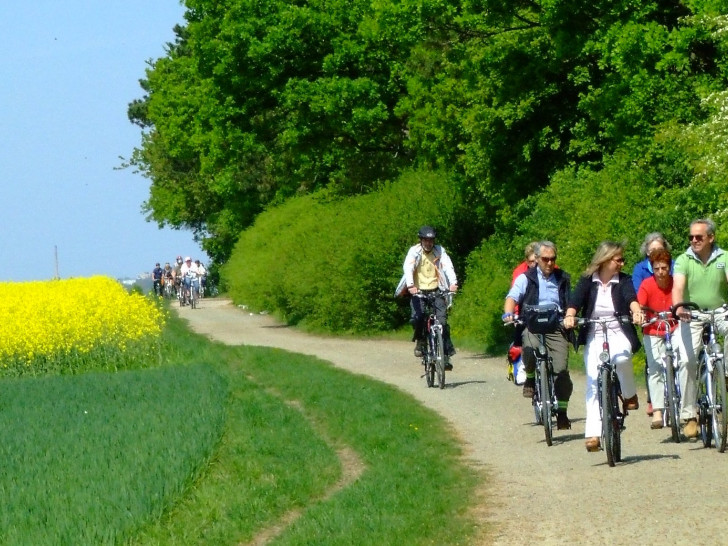 Der ADFC veranstaltet am 9. April eine Radtour durch den Elm. Foto: Langer 