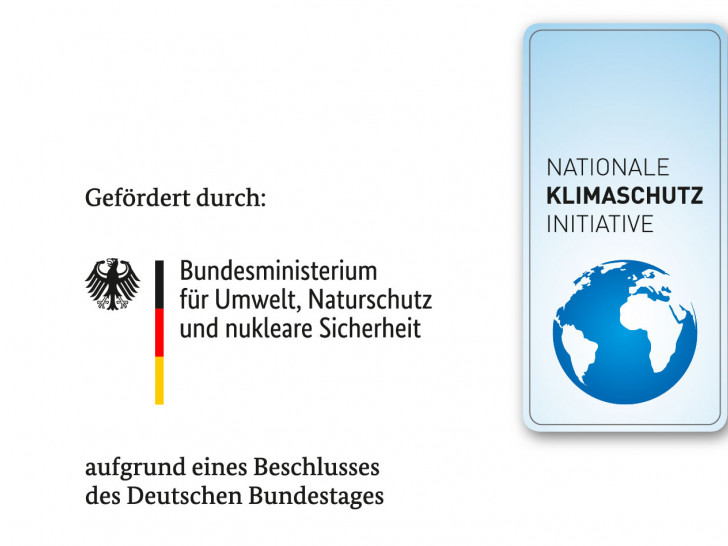 Logo: Stadt Peine