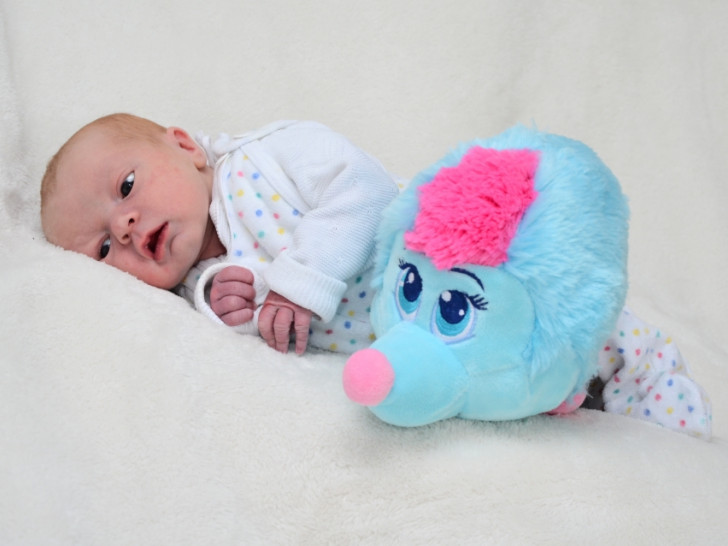 Lukas Franke. Foto: babysmile24.de