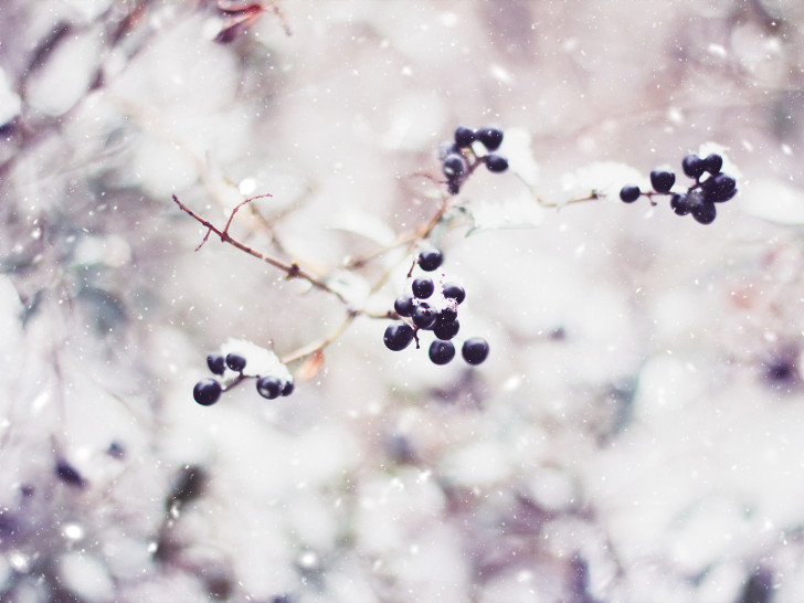Winterliche Liebe zum Detail Foto: Nicole Reinhardt 