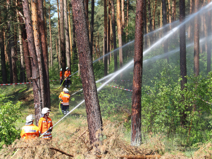 Die Feuerwehren der Samtgemeinde Meinersen übten den Ernstfall. Ein halber Hektar wäre zu löschen gewesen. Fotos: Jonas Walter